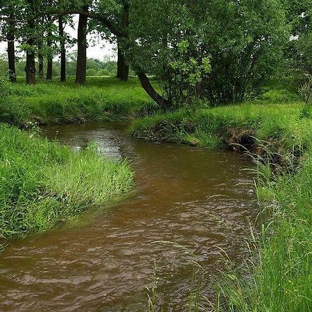 Karpnicka Struga W Dolinie Palacow I Ogrodow Jelenia Góra Exteriör bild