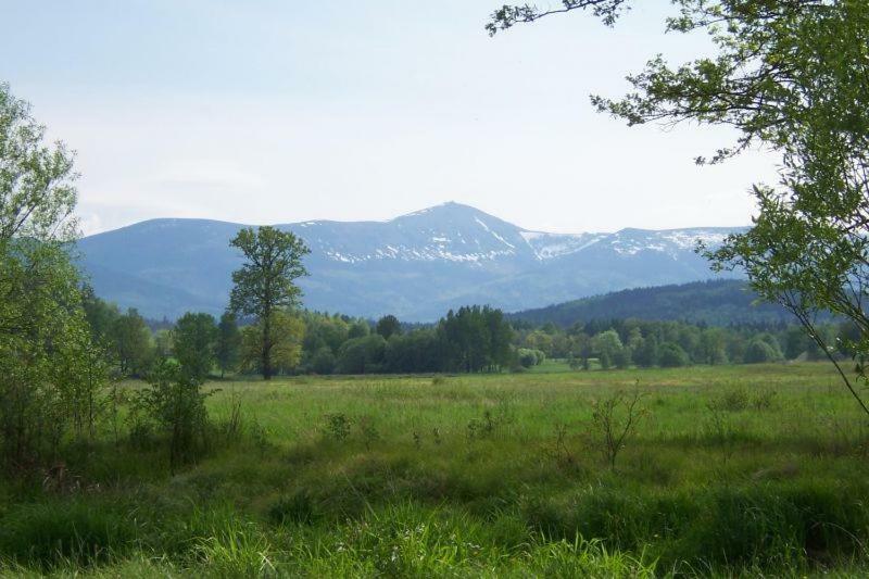Karpnicka Struga W Dolinie Palacow I Ogrodow Jelenia Góra Exteriör bild