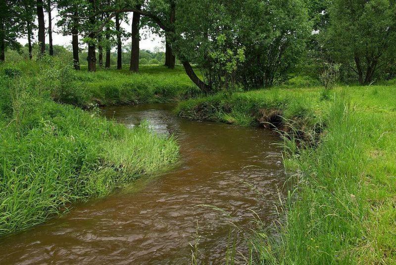 Karpnicka Struga W Dolinie Palacow I Ogrodow Jelenia Góra Exteriör bild
